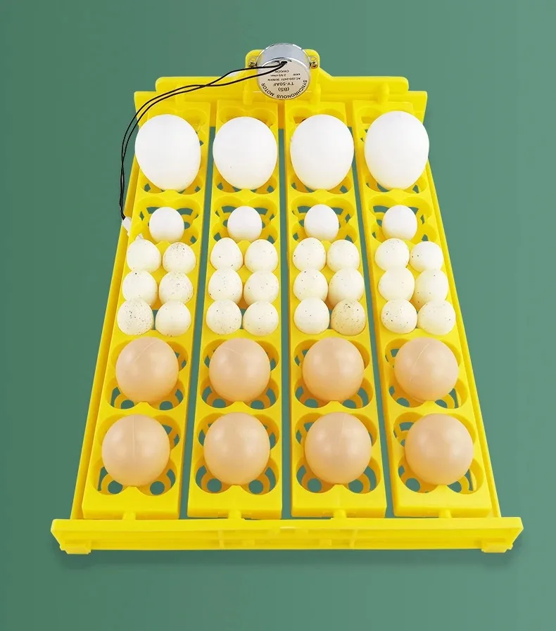 Automatic Incubator Egg Turnover Egg Tray Chicken Duck Goose Quail Bird Egg Roller Egg Tray Home Small Incubator Accessories