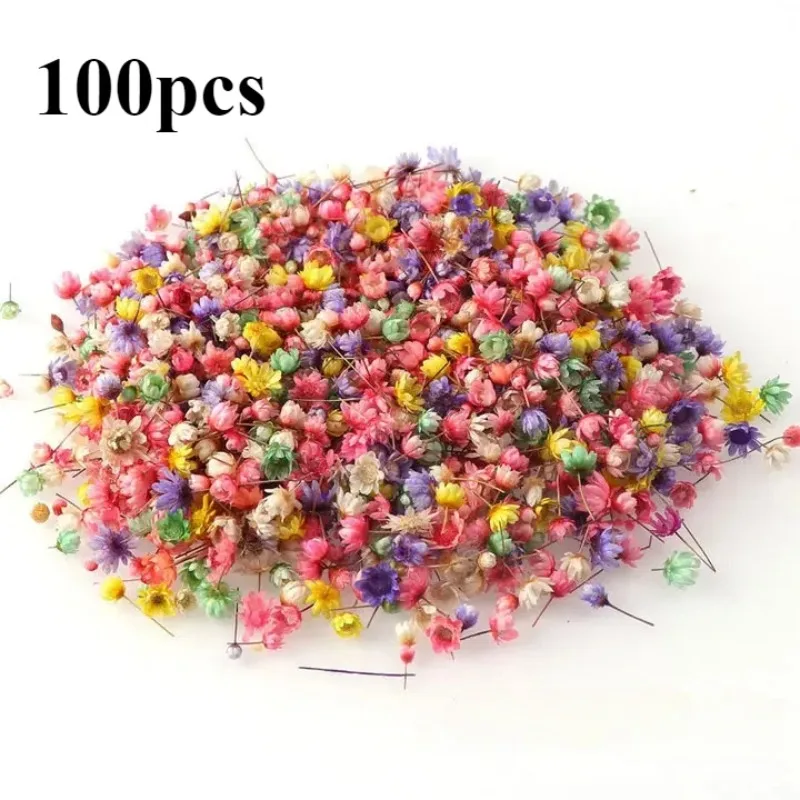 100pcs Diy Art Dried Flowers Craft Epoxy Resin Making Jewlery Home Party Decorative Mini Dry Flowers Jewelry Craft Making