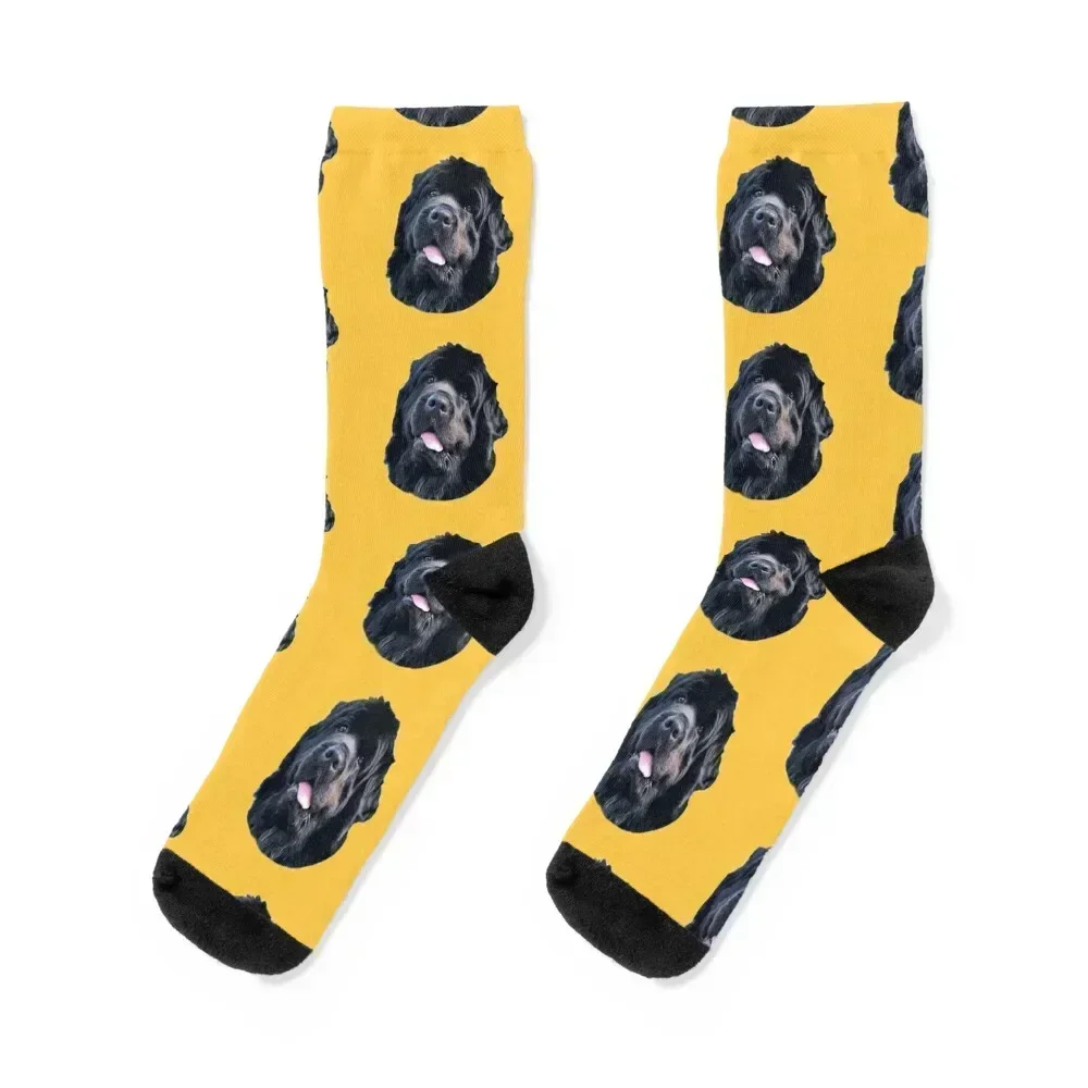 

Newfoundland Puppy Dog Very Cute Socks aesthetic christmas gifts sport Socks Ladies Men's