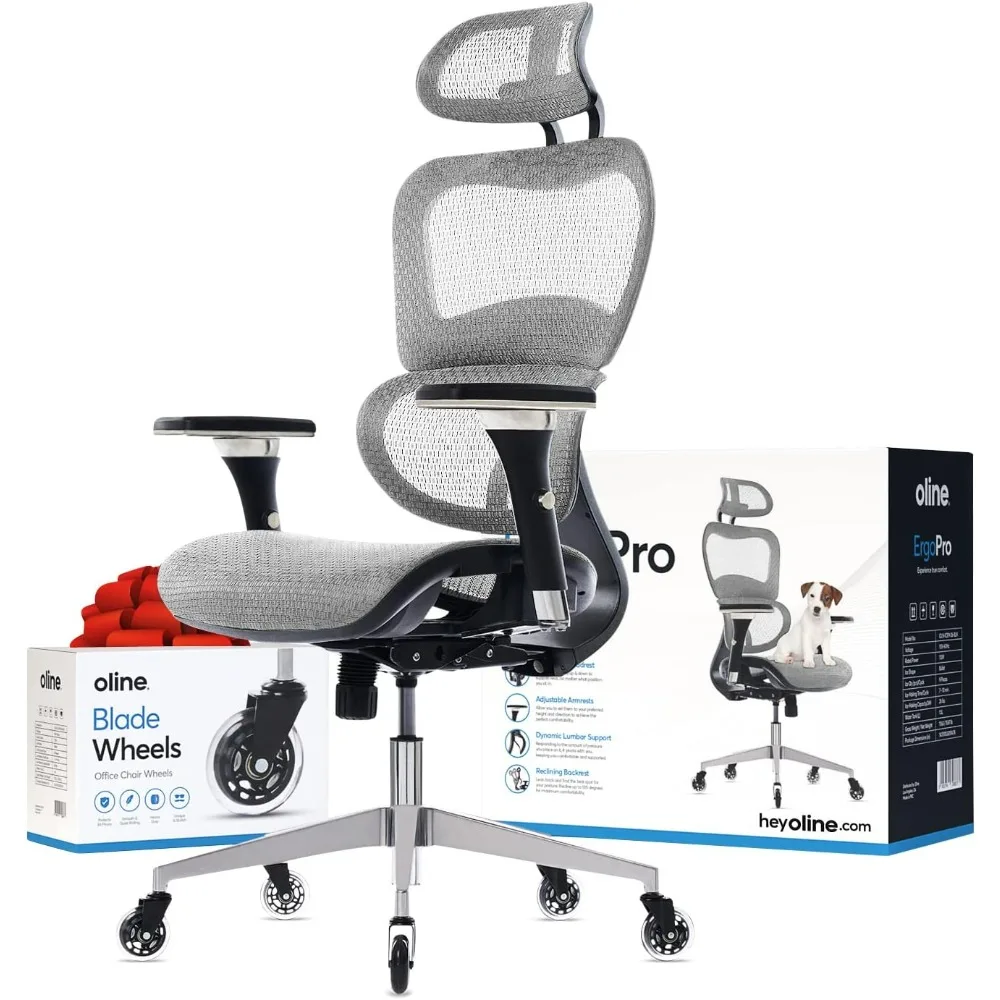 office chair.ErgoPro Ergonomic Office Chair - Rolling Desk Chair with 4D Adjustable Armrest, 3D Lumbar Support and Blade Wheels