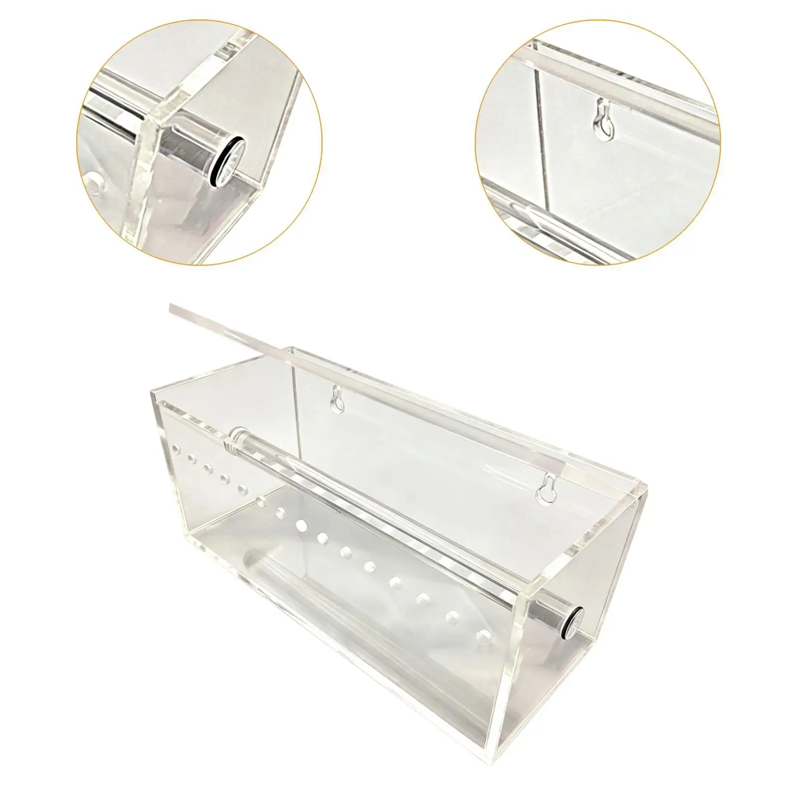 

Dental Rubber Chain Organizer Case Compact Dental Elastic Chains Storage Box