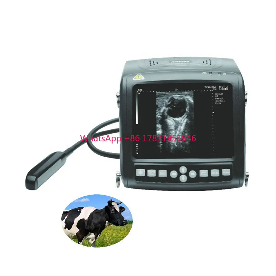 

KX5200V KX5200 KAIXIN ultrasonido portatil veterinary ecografo bovino ultrasonido para mascotas