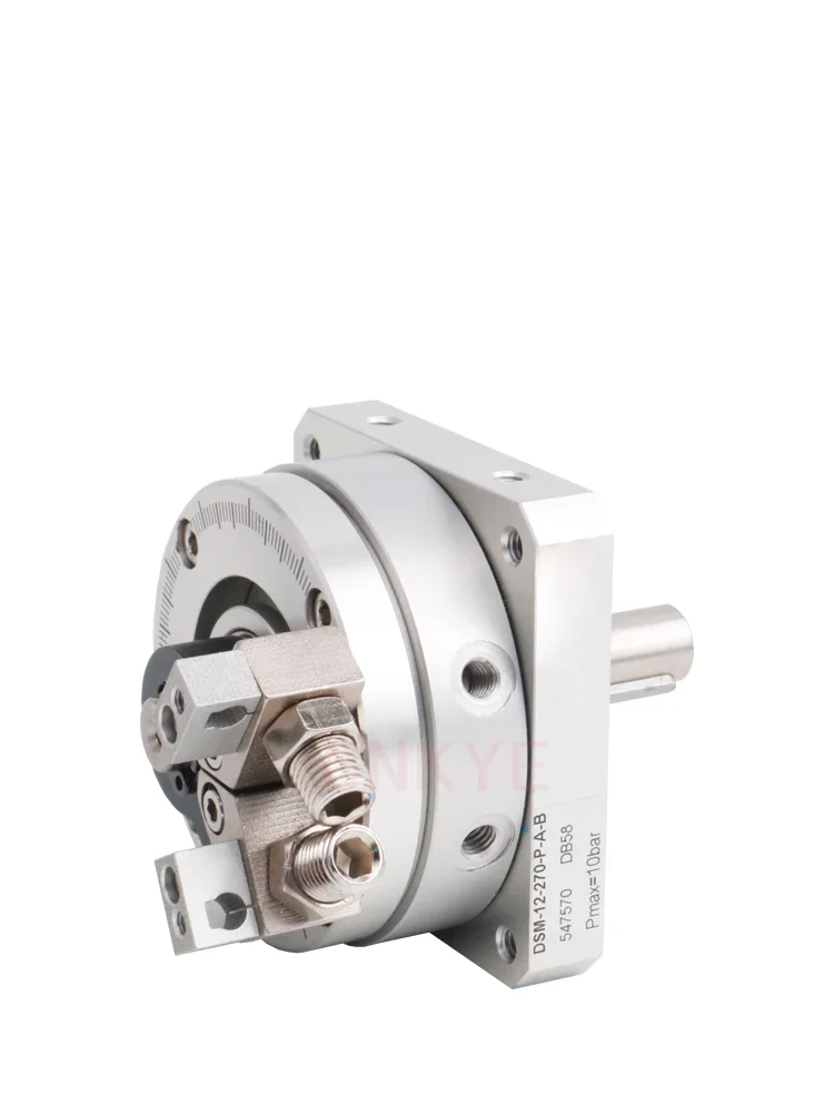 rotary cylinder DSM-B/DSM-12-270-P-A-B DSM-16-270-P-A-B DSM-20-25-32-40-270-P-A-B DSM-12-16-20-25-32-40-270-P-FW-A-B DSM