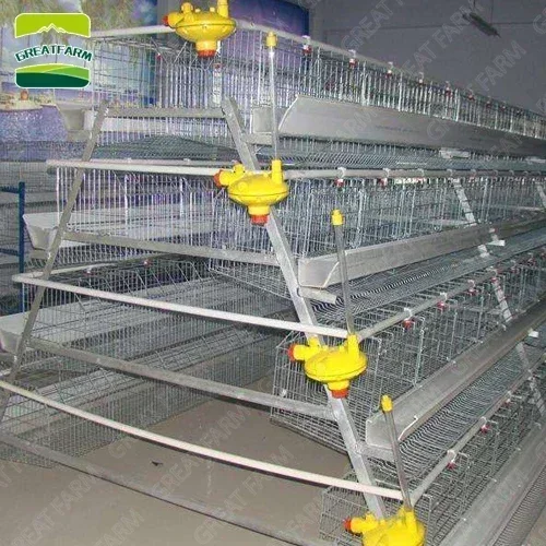 Great Farm Animal & Poultry Husbandry Equipment A-type Battery Cage Chicken Coop Chicken Cages Of Layer Or Broiler