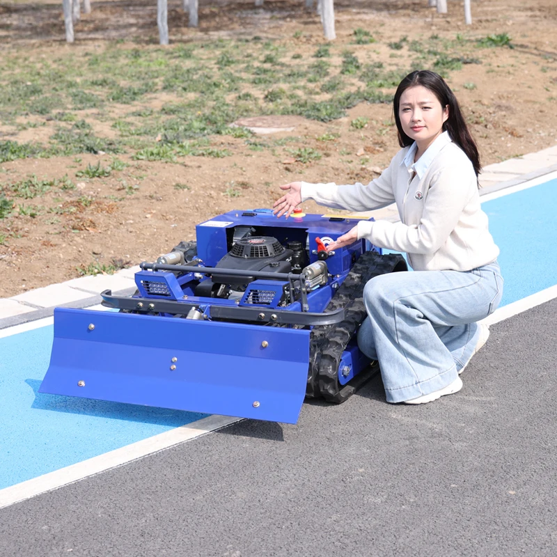 

Customized Gas Powered Lawn Mower Self Propelled Adjustable Height High Efficiency for Commercial Garden Park Use