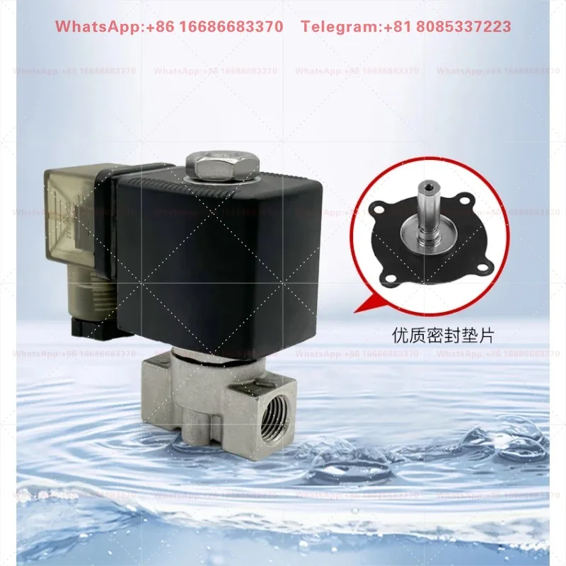 Stainless Steel Fluid Control Solenoid Valve 220V/24V NC Water Drainage Micro Air Valve 2/3 Points