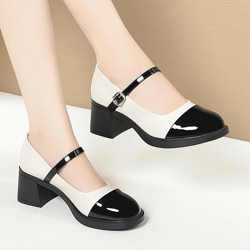 Women Shoes 2024 New Fashion Retro Round Toe Soft Leather Casual Mary Jane Shoes Shallow Mouth Waterproof Platform Shoes