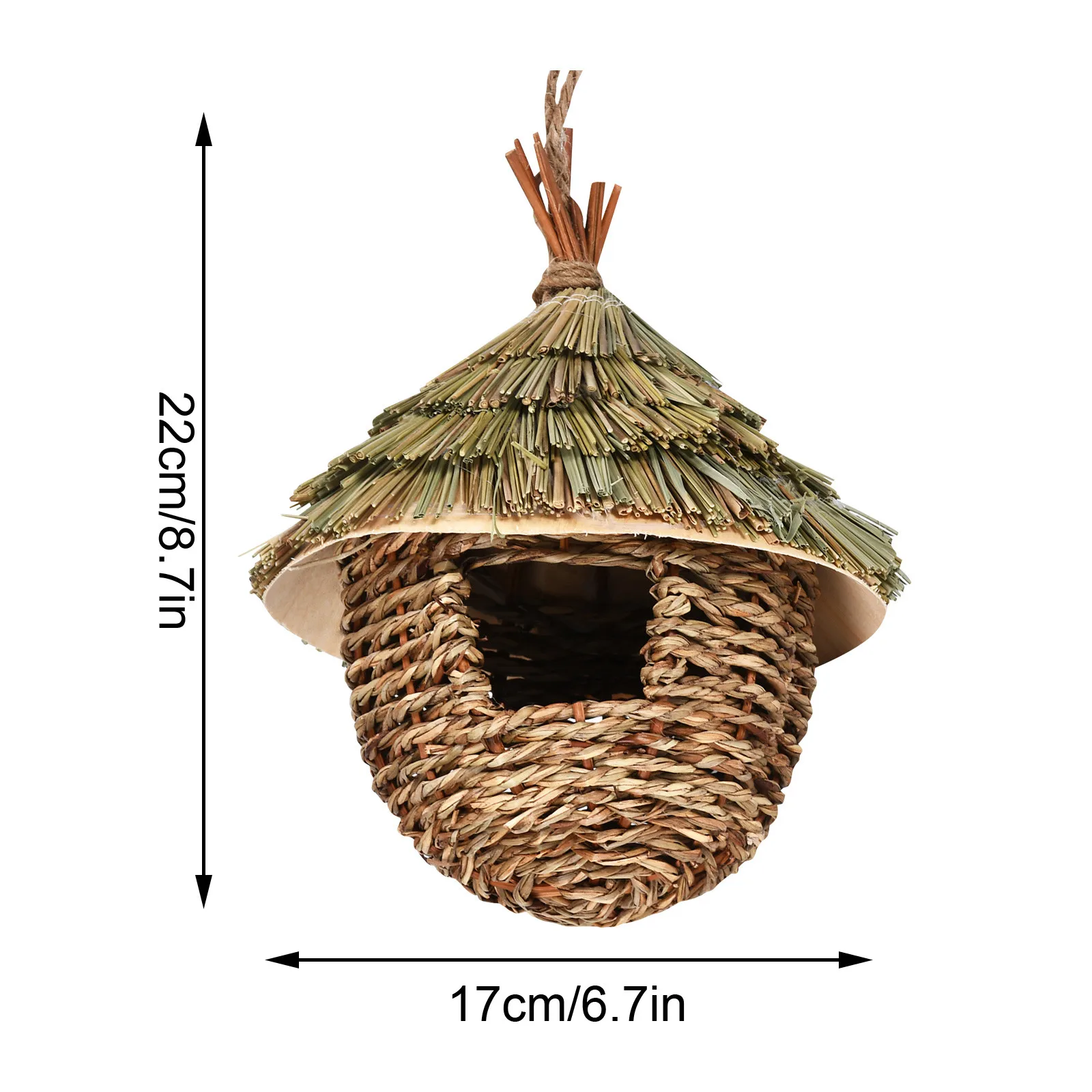 Thumbnail 3 - #83 Compare Birdhouses Before You Buy