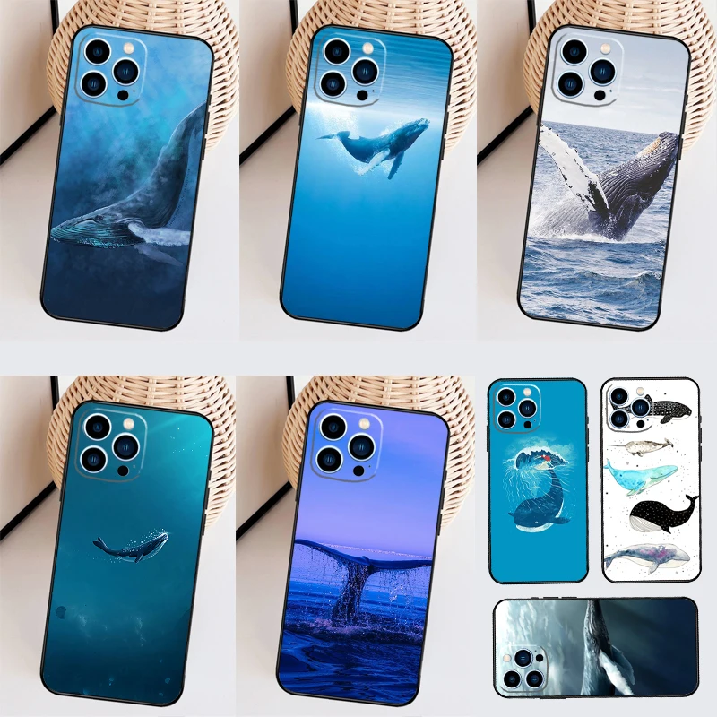 Blue Whale For Huaw… - image