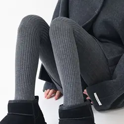 Winter Simple Vertical Stripes Fleece Thickened Warm Pantyhose Fashion Versatile Wide Stripe Wool Tights Hosiery Wholesale
