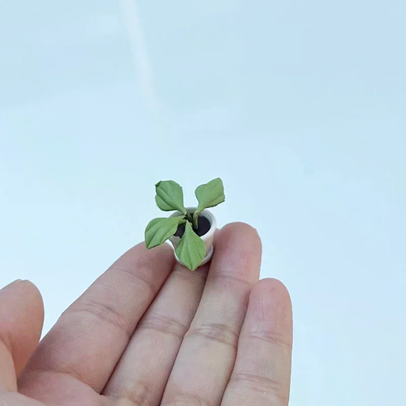 2PCS 1:12 Dollhouse Miniature Plants Small Flower Pots Model Funiture Accessories For Doll House Decor Kids Pretend Play Toys