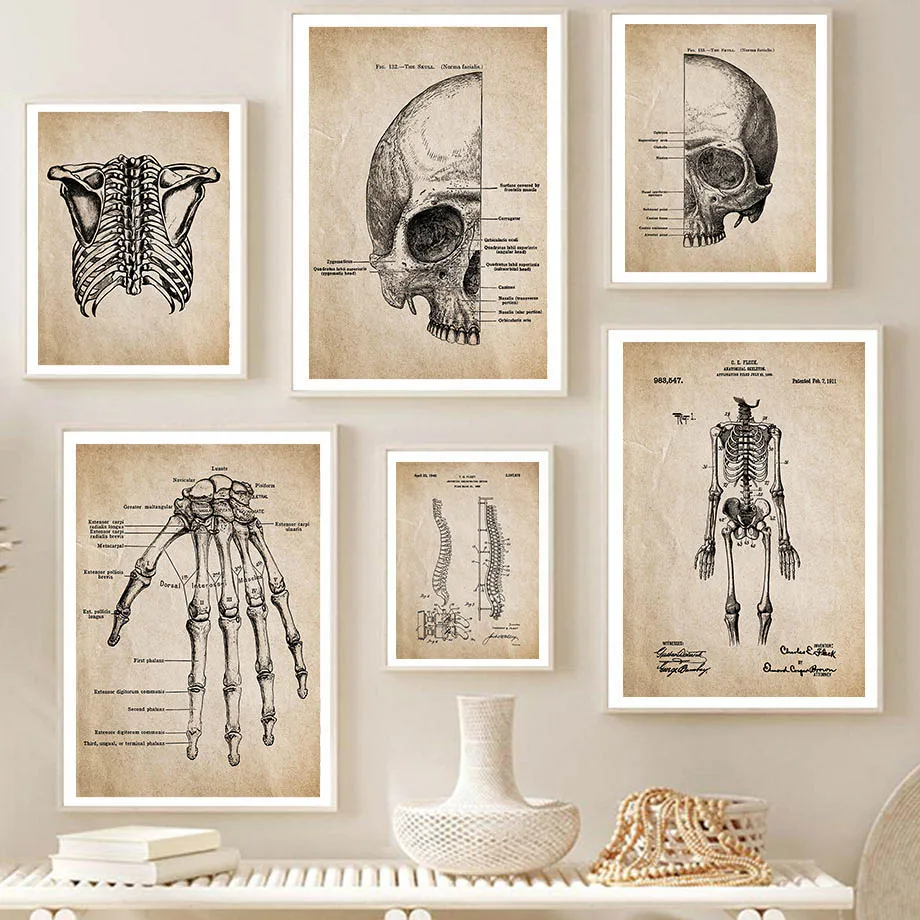 

Vintage Anatomy Skull Spine Blueprint Nordic Poster Wall Art Print Canvas Painting Medicine Pictures Doctor Room Hospital Decor