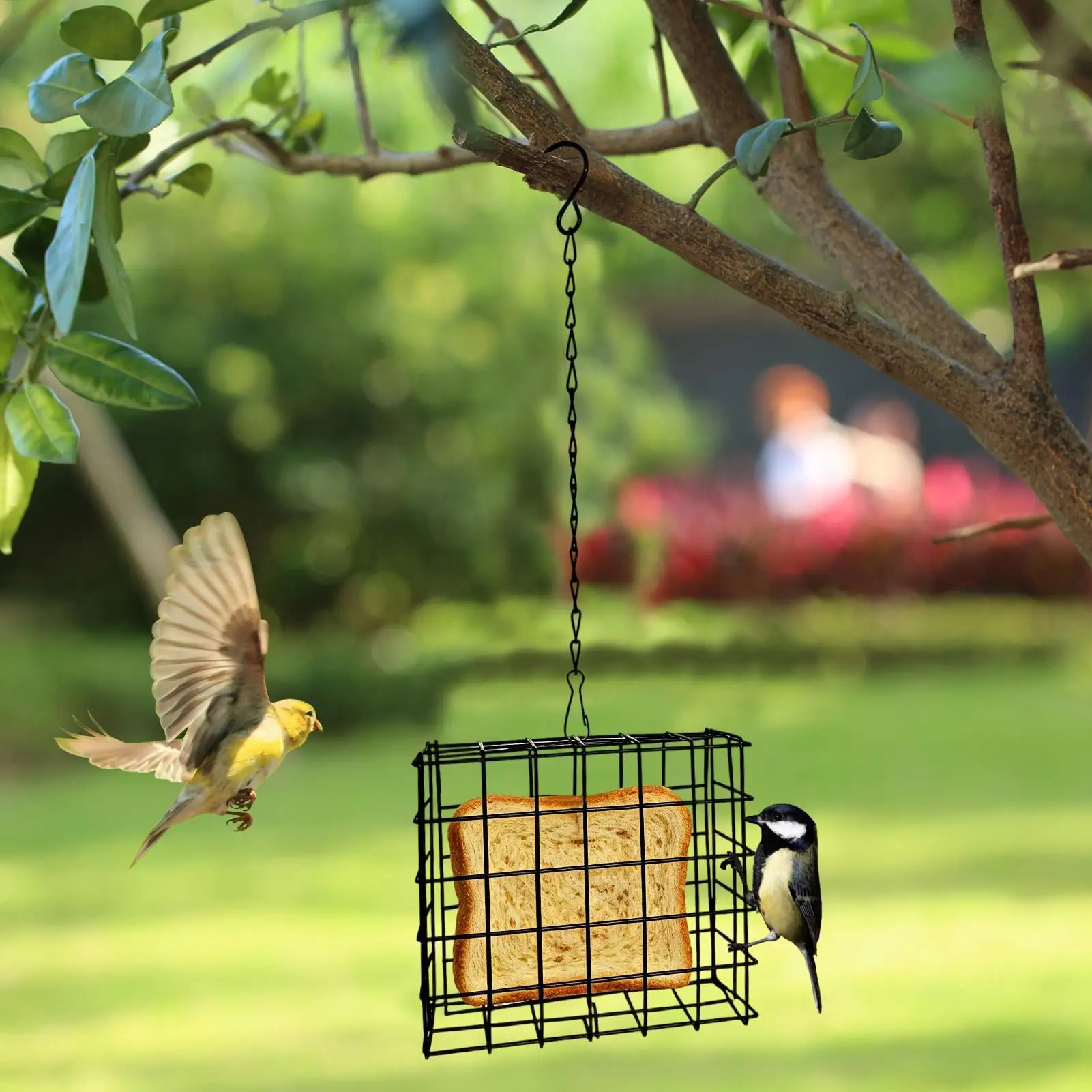 Comedero para Pájaros a Prueba de Ardillas, Reutilizable, para Observación de Aves, Comedero para Pájaros de Exterior para Jardín, Patio, Balcón, para Pájaros Carpinteros y Colibríes