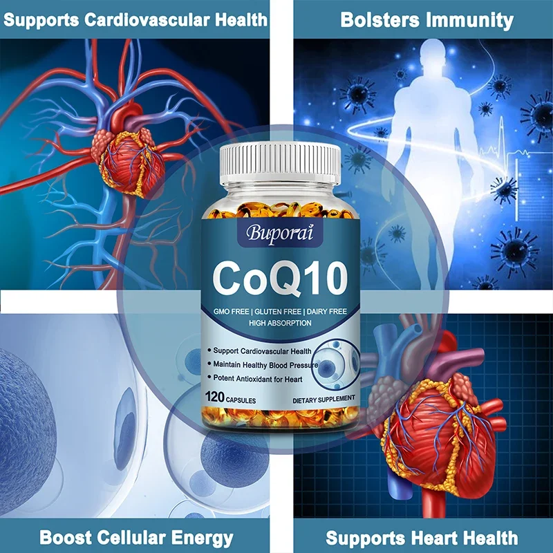 Coenzyme Q-10 - Natural Antioxidant Promotes Heart Health and Cellular Energy, Beneficial Absorption, Immune System