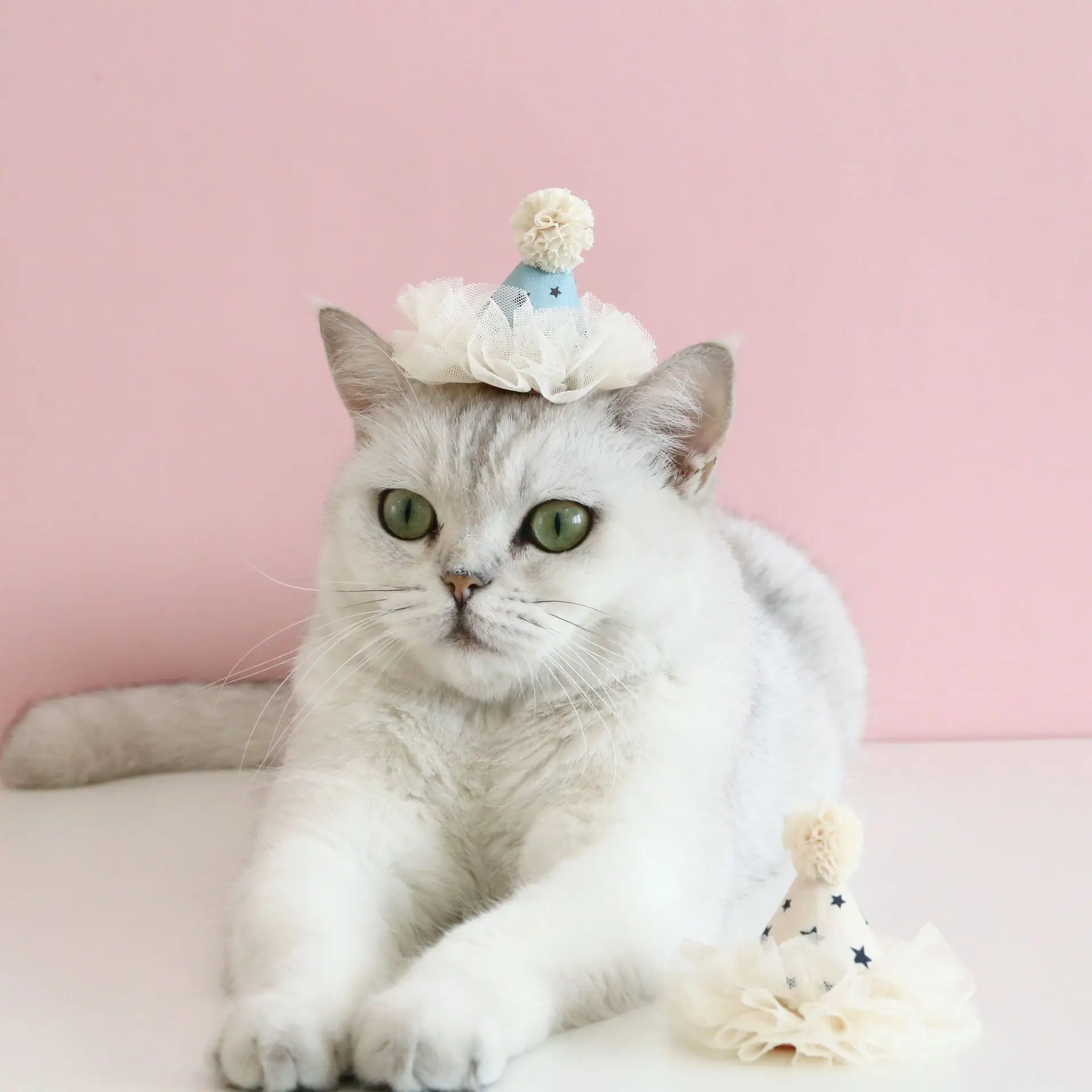 Cat Accessories Dog Fashion Lace Sequins Three-dimensional Birthday Hat Headwear Bowknot Sweet Pet Supplies Pet Accessories