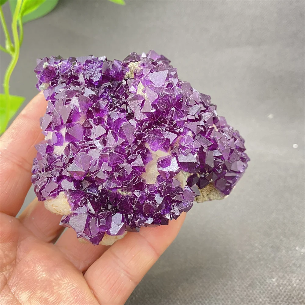 Natural Amethyst And Blue Crystal Symbiont Rare Mineral Specimen - Wiccan Spiritual Home Decoration with Base