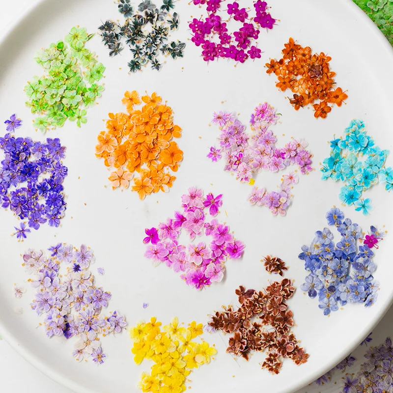 24 Stück, gepresste blaue Trockenblumen aus Spitze für DIY-Harzschmuck, Lesezeichen, Grußkarten, Scrapbooking, Aromatherapie, Kerzen, Bastelzubehör – Detail 2