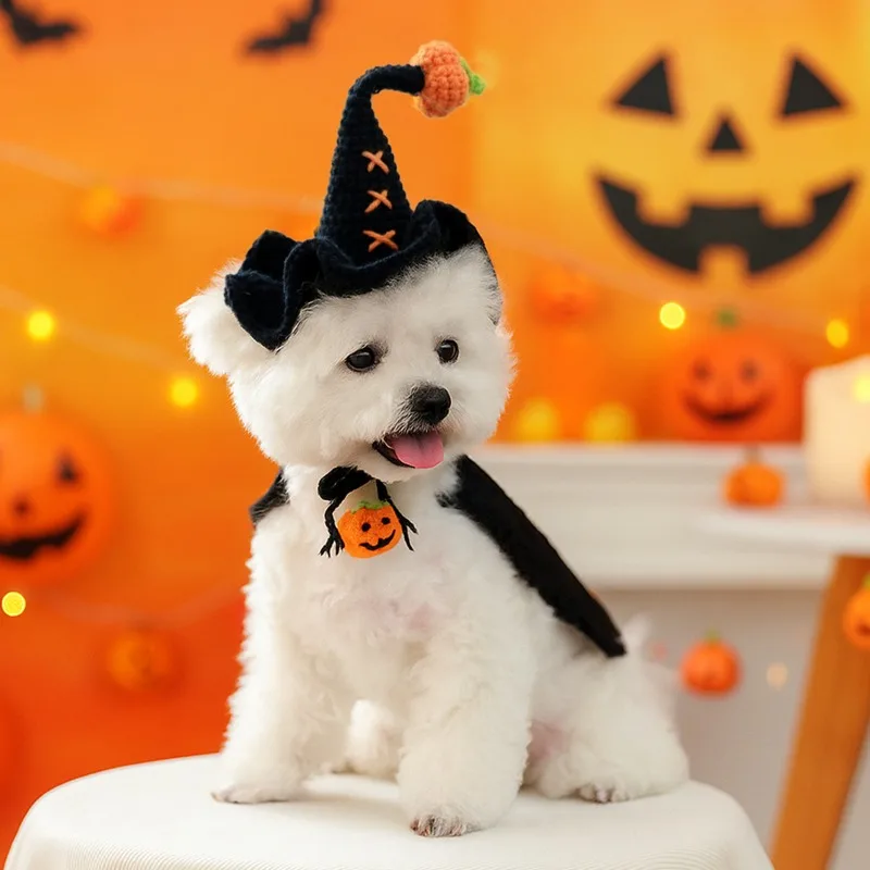 Gorro de lana para mago, perro, gato, perro pequeño, cachorro, guapo, moda informal, accesorios bonitos, sombrero de mago de lana para Halloween