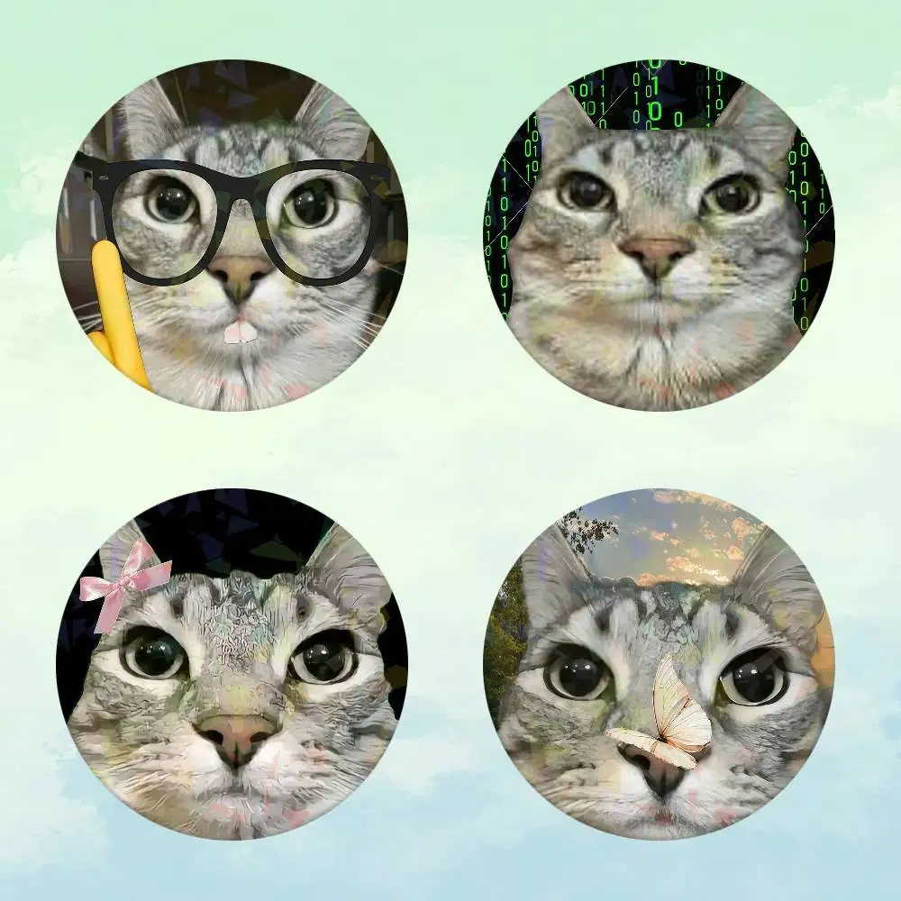 Lustige Wassermelonen-Katze, schrullige Katzen-Meme, ästhetische weiche Anstecknadeln, handgemachte Brosche für Kleidung, Abzeichen