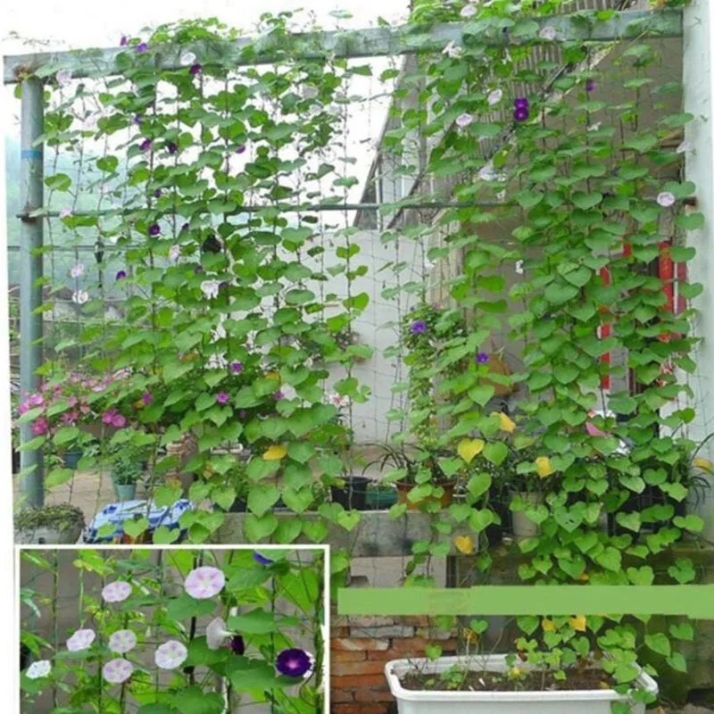 4 Sizes Garden Plant Climbing Net Stand Holder Green Nylon Trellis Netting Mesh Support Bean Growing Fence Net Line A6