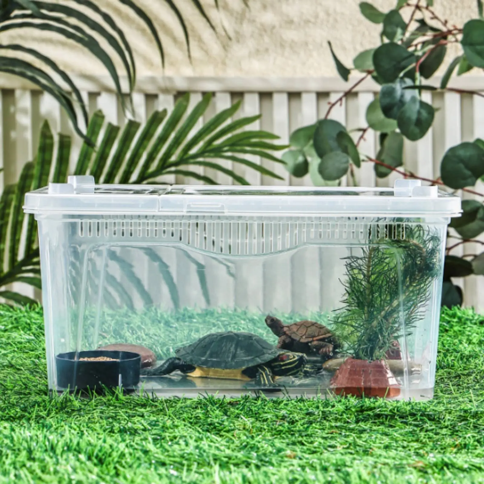 caixa-de-criacao-de-anfibios-de-plastico-terrario-transparente-para-repteis-e-tartarugas-com-entrada-de-alimentacao-facil-para-criadores