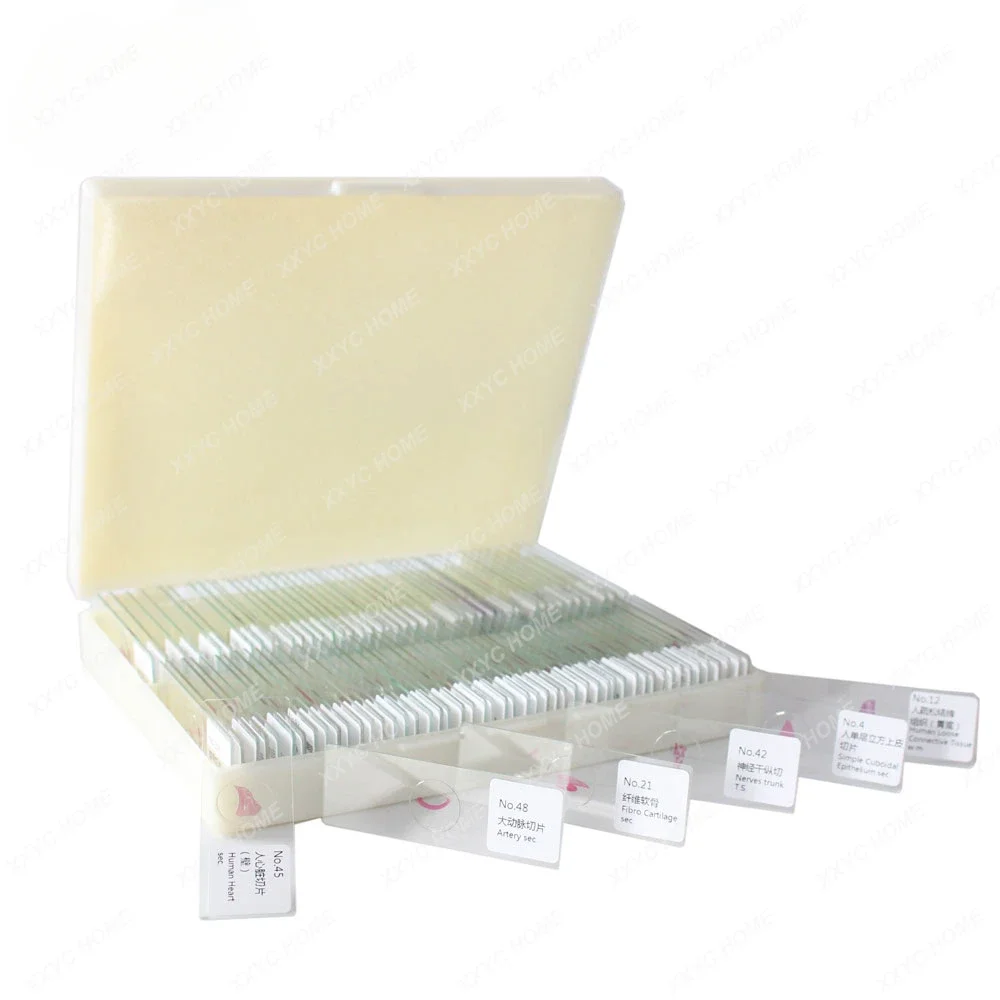 Histology Slides100 Items Prepared Specimen Set For Pre-doctor University Standard