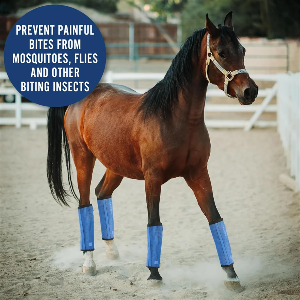 Bottes de cheval en maille respirante, enveloppes de jambe de cheval de protection, legging pour prévenir les mouches, 4 pièces