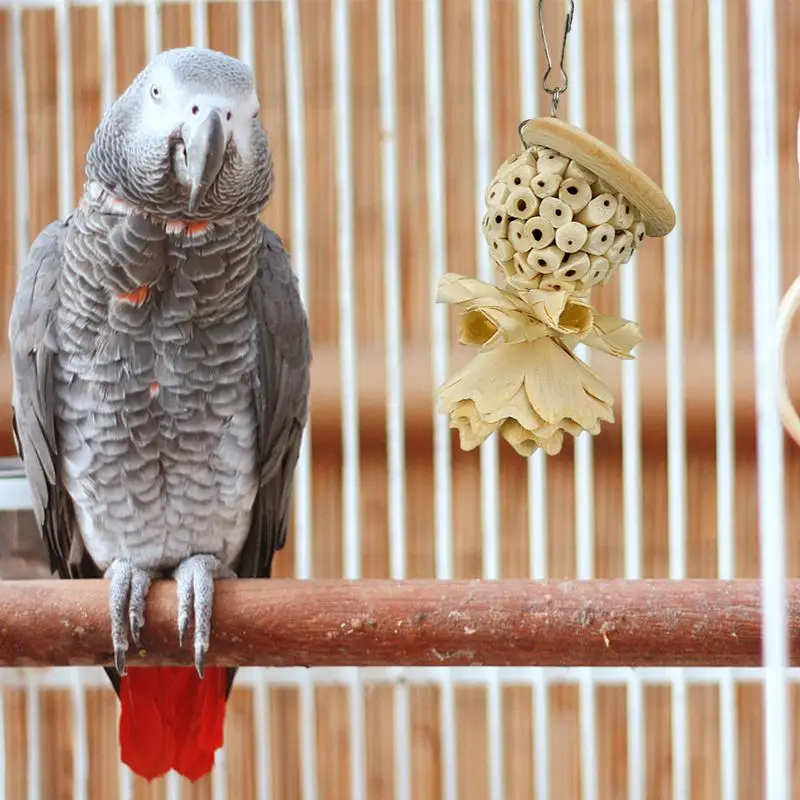 Papegaaienkauwspeelgoed Hang Natuurlijk Houten Papegaaispeelgoed Bijt En Scheurt Leuk Conure Speelgoed Voor Papegaaien Valkparkiet Conure Love Birds