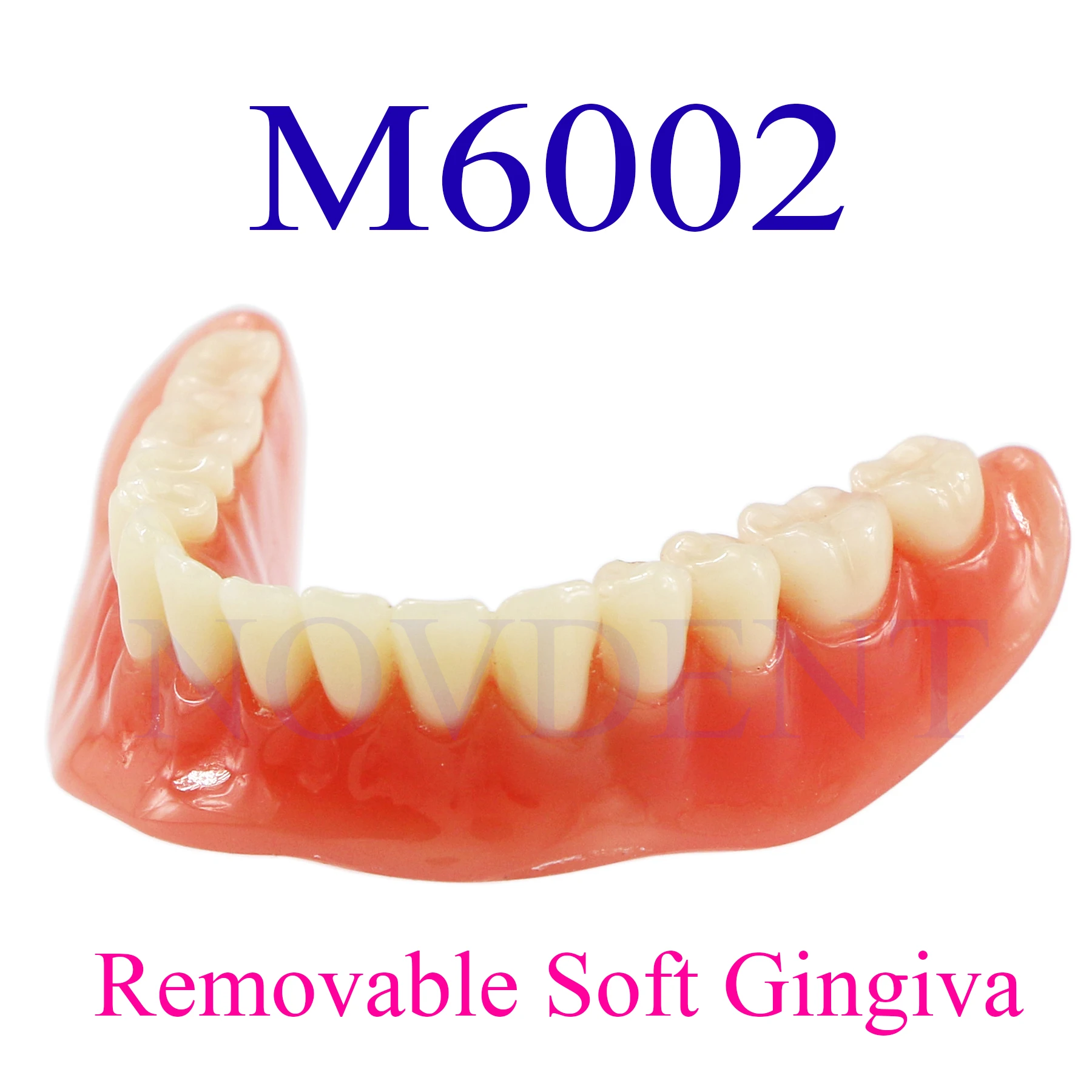 Dental dolna szczęka 2 implanty Model odbudowy Overdenture Model 2 implanty mosty edukacja badania nauczanie Student M6002