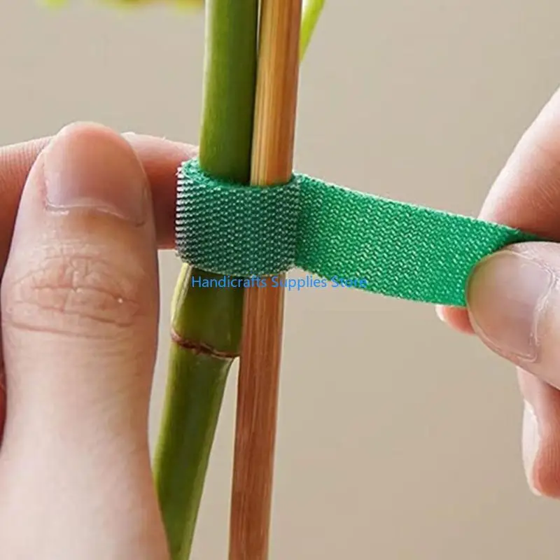 R1WA 1M Garden Plant Straps Plant Fixed Branch Straps Forest Branch Straps Winding Line Gardne Plant Tool Supplies Organization