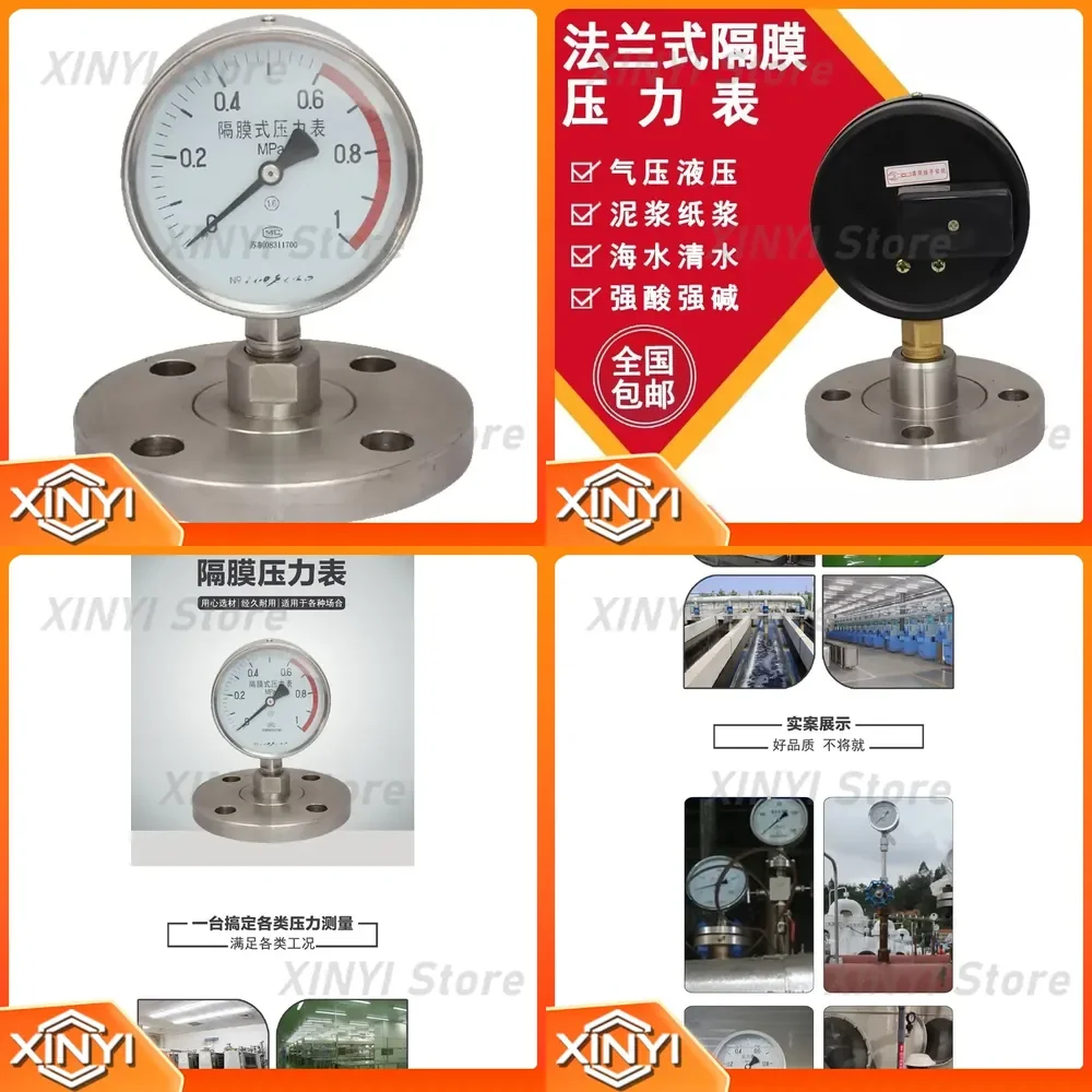 for YTP100ML MF semi-steel diaphragm pressure gauge flange pressure gauge DN25 DN50 PTFE seal industrial process control