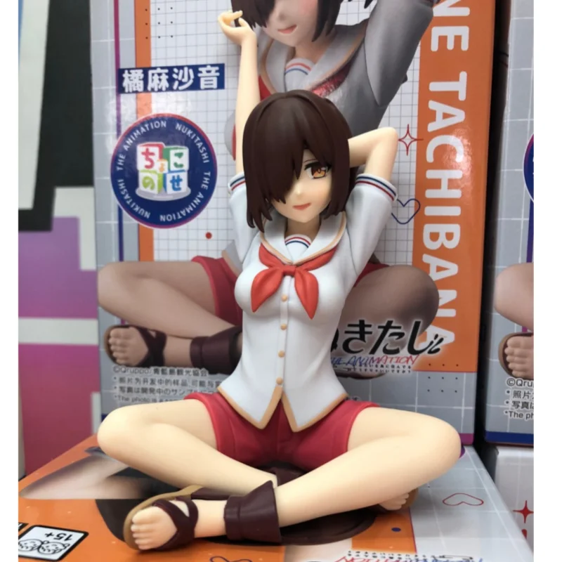 جديد وأصلي سيجا نوكيتاشي الرسوم المتحركة Chokonose قسط Asane Tachibana Fumino Kotoyose عمل أنيمي الشكل البلاستيكية نموذج اللعب