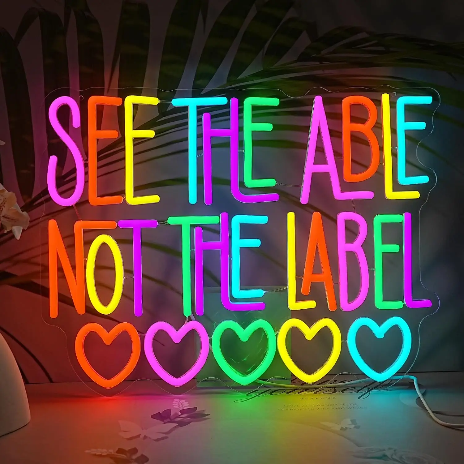 voir-la-capacite-pas-l'etiquette-panneau-lumineux-neon-arc-en-ciel-pour-salle-de-classe-d'education-speciale-lumiere-led-decorative-murale-cadeaux-pour-enseignants-alimente-par-usb