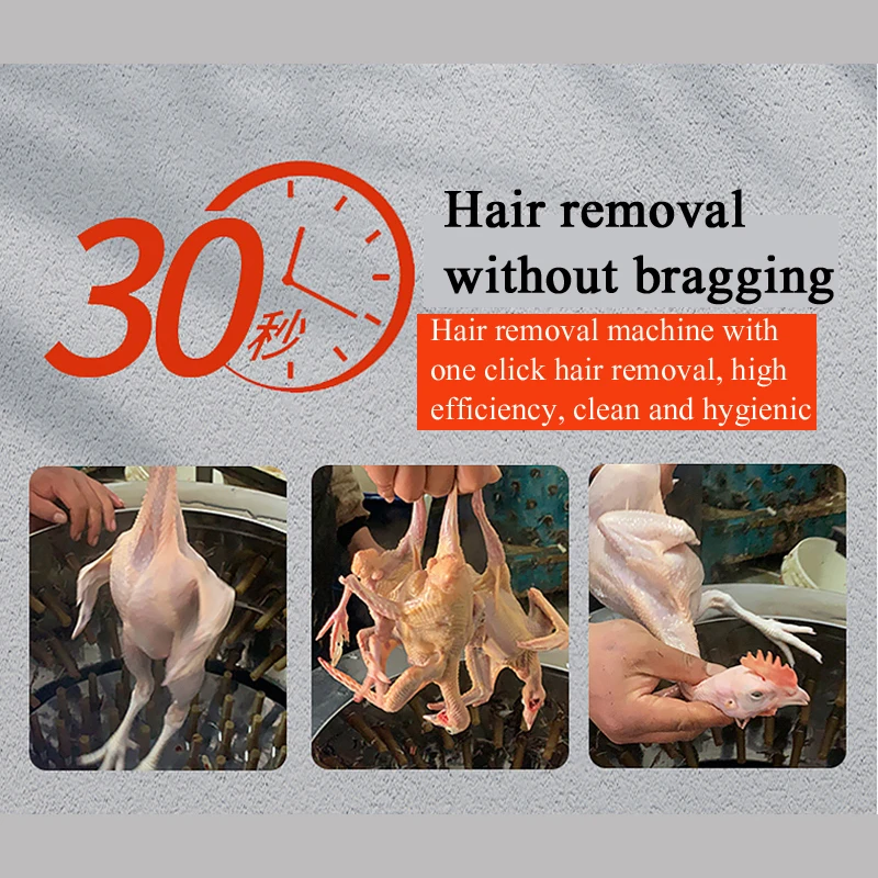 

Poultry Hair Removal Machine, Leg Hair Stick Machine, Small Automatic, Chicken, Duck, Goose, Plucking