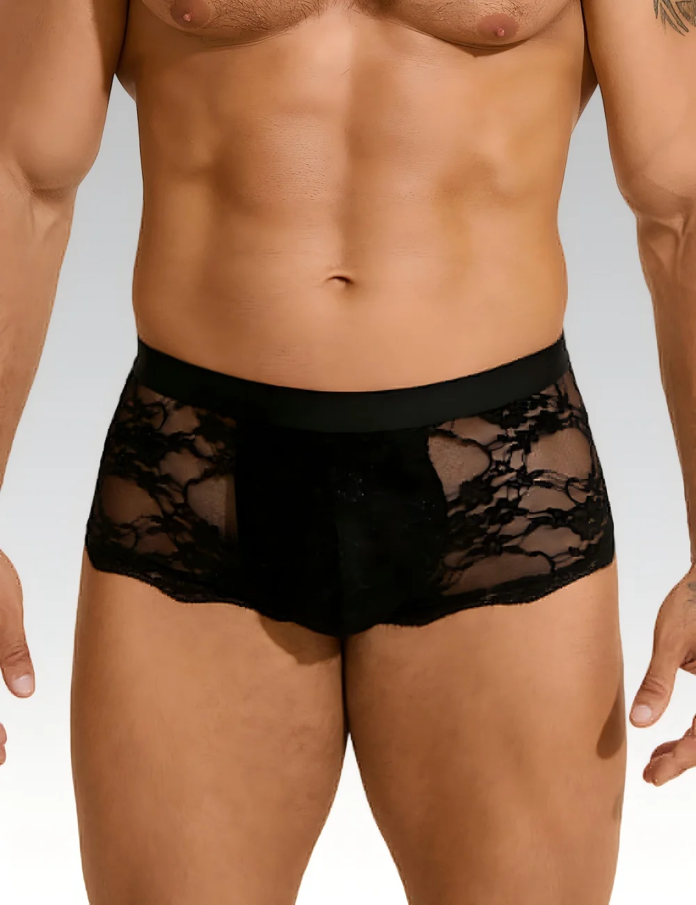 

Black Lace Mesh See Through Men Boxer Briefs Sexy U-Shaped Pouch Wide Elastic Waistband Breathable Stretchy Plus Size