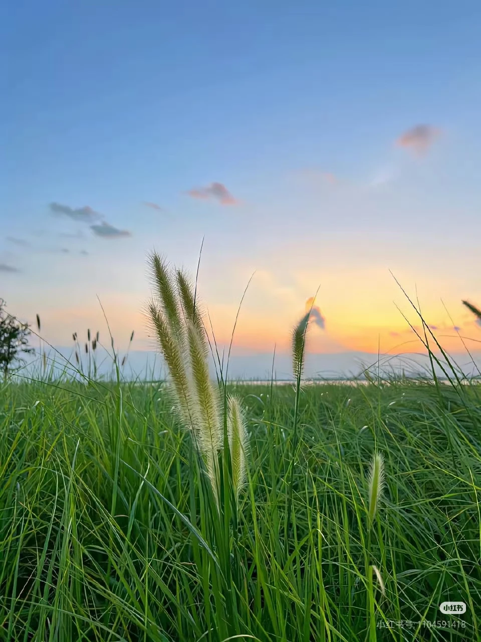 

AISIA Q1 3D AI Facial Skin Analyzer Detection Skin Problem Diagnosis 8 Spectrum Professional Analysis Beauty Salon Equipment