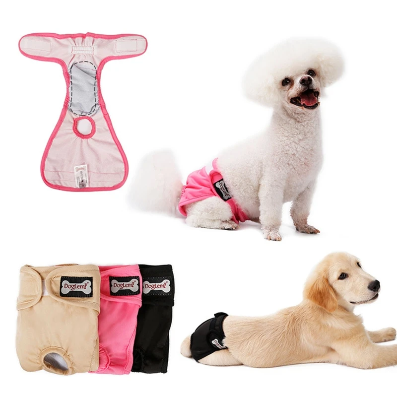 Culotte hygiénique, short, cadeau, couche lavable et étanche pour chien, respirante en chaleur