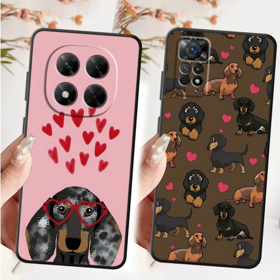 Interesting Dachshu… - image