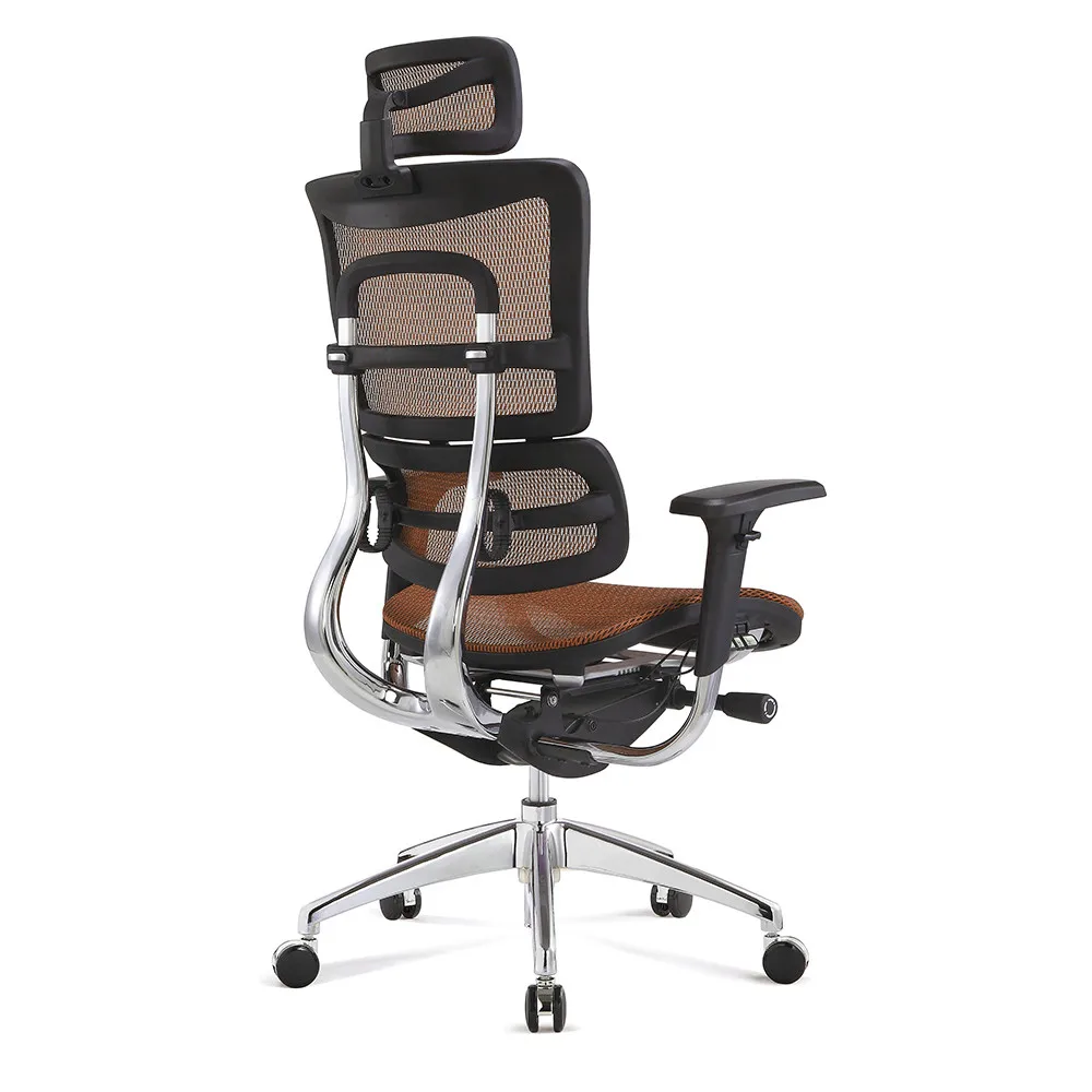 

Guangzhou Factory ergonomic ball orthopaedic computer chair