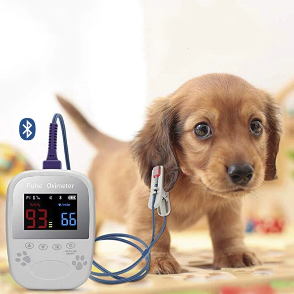 Small Animal Bluetooth Palm Oximeter Portable Monitoring Of Pet Blood Sample Saturation Pulse Rate Veterinary Testing Supplies