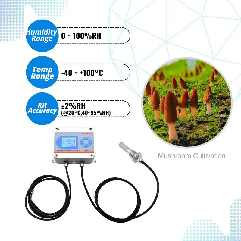 

HG808-H 98%RH High Humidity Environments Humidity And Temperature Sensor Transmitter RS485 4-20mA 0-10V 0-5V