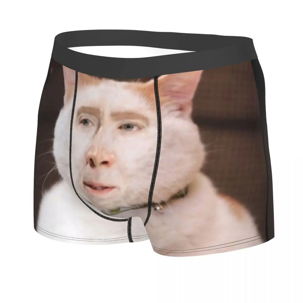 Funny Nicolas Cage Cat Meme Underwear Men Sexy Print Custom Boxer Shorts Panties Briefs Breathbale Underpants