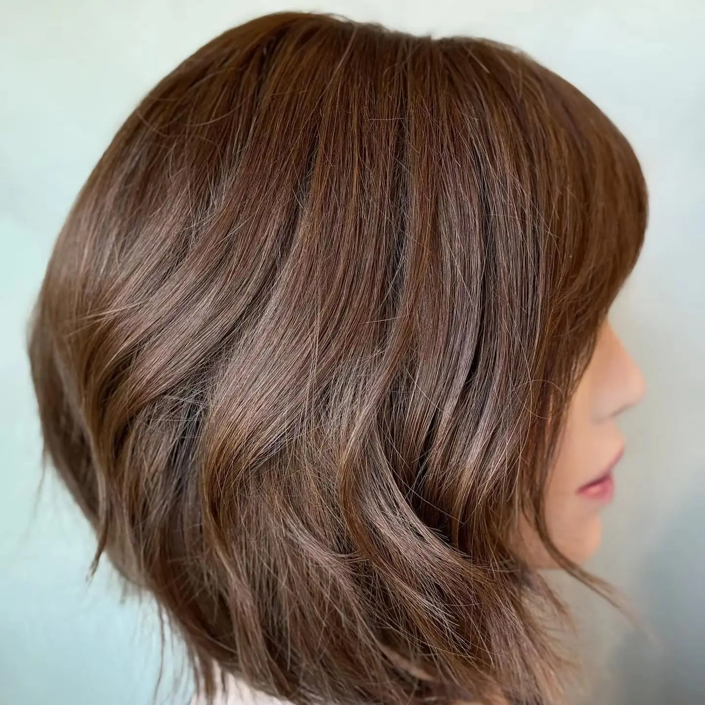 

Highlight Chocolate Brown Straight Synthetic Lace Front Wigs PrePlucked Hairline Glueless Short HD Transparent Lace Front Wig