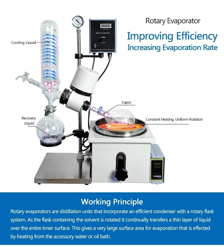 Re-201D Lab Scale Glass Home    Equipment Vacuum Rotary Evaporator Price