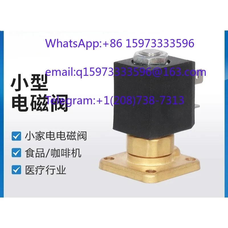 10pcs  Direct Acting Micro Solenoid Valve Steam Heater Control Valve for Industrial Equipment Home Appliance Parts