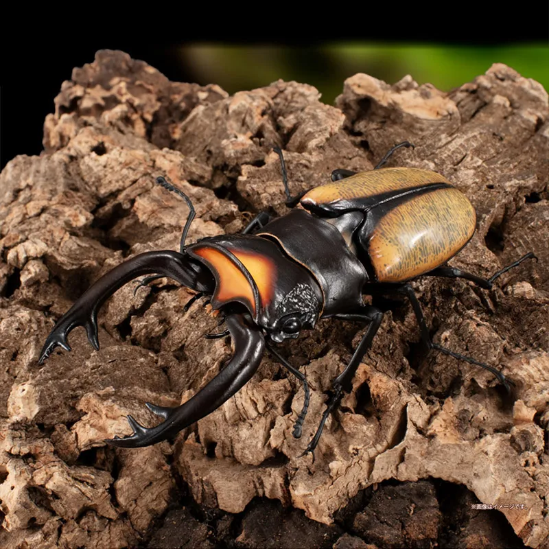 بانداي الأصلي غاشابون الموسوعة البيولوجية سلسلة الأيل بيتل 09-الشبح الذهبي/منشار أحمر اثنين شخصية خنفساء الأيل