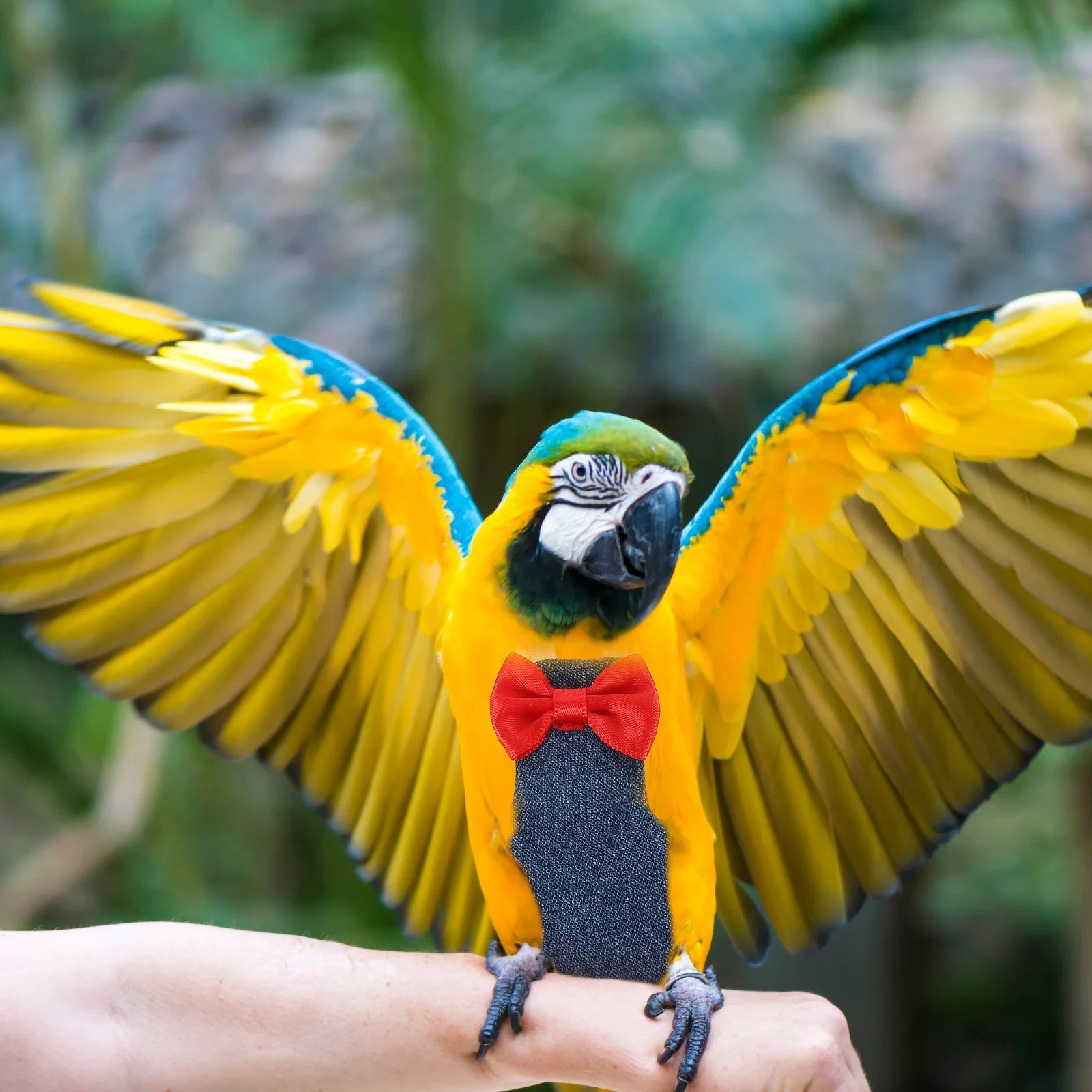 

Parrot Diaper Clothes Flight Suit Bird Diapers for Parrots Parakeets Pigeons Cockatiels Small Birds Adjustable Cotton