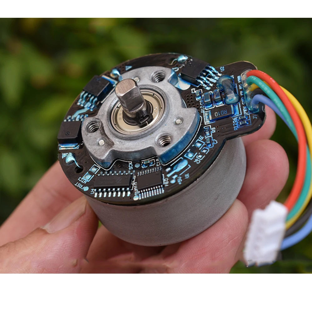 High Speed Large Torque BLDC BL4525 Outer Rotor Brushless Motor DC 12V 16.8V 24V 4400RPM PWM Speed Regulation for Fascial Gun