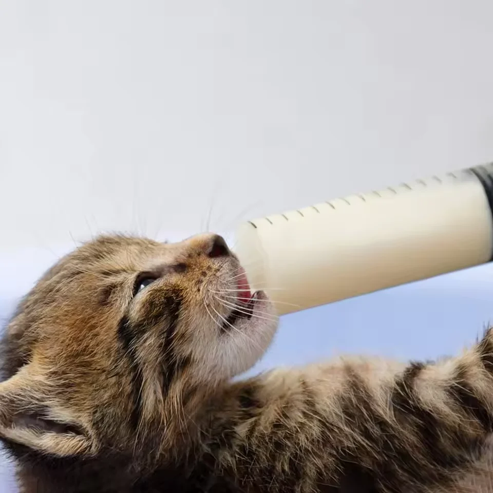 Nutrient Syringe 20ml 60ml 100ML Plastic Syringes Health Measuring Without Needle Glue Pet Animal Needle-Free Feeding Tools