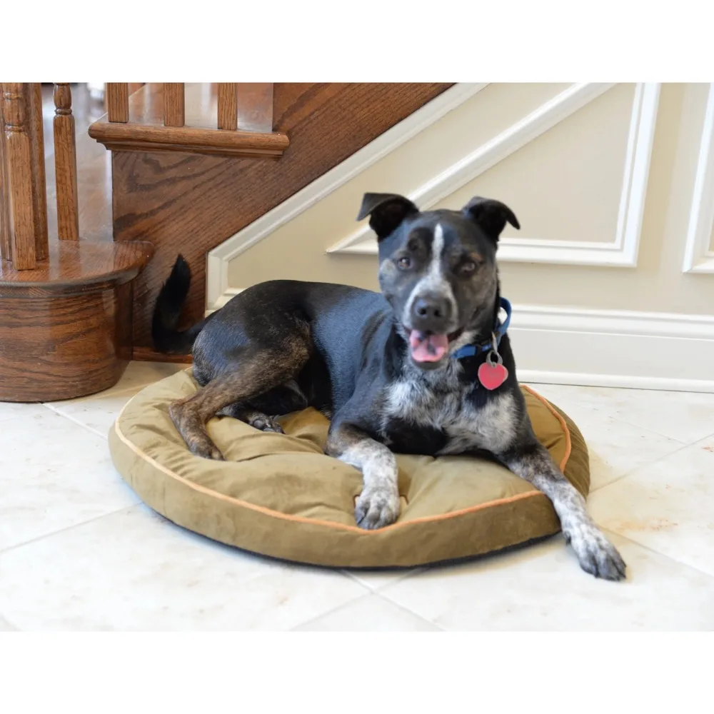 

Sage Green Pet Bed Pad, 26-Inch, M04CHL